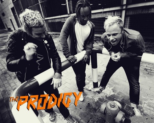 the prodigy discography torrent