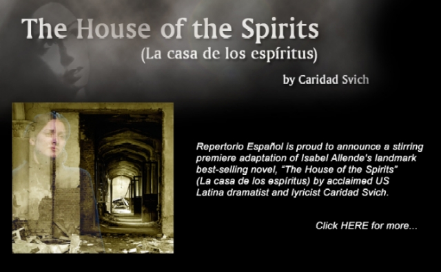 the house of spirits book